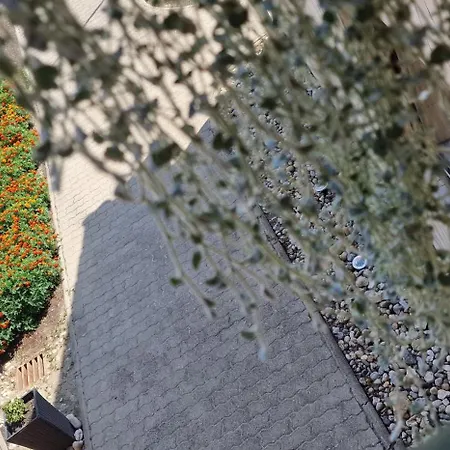 Toscana Panzio Nocleg ze śniadaniem Zalacsány